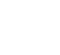 Texas Bible Bowl logo